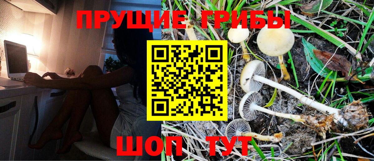 Галлюциногенные грибы MAGIC MUSHROOMS Кушва